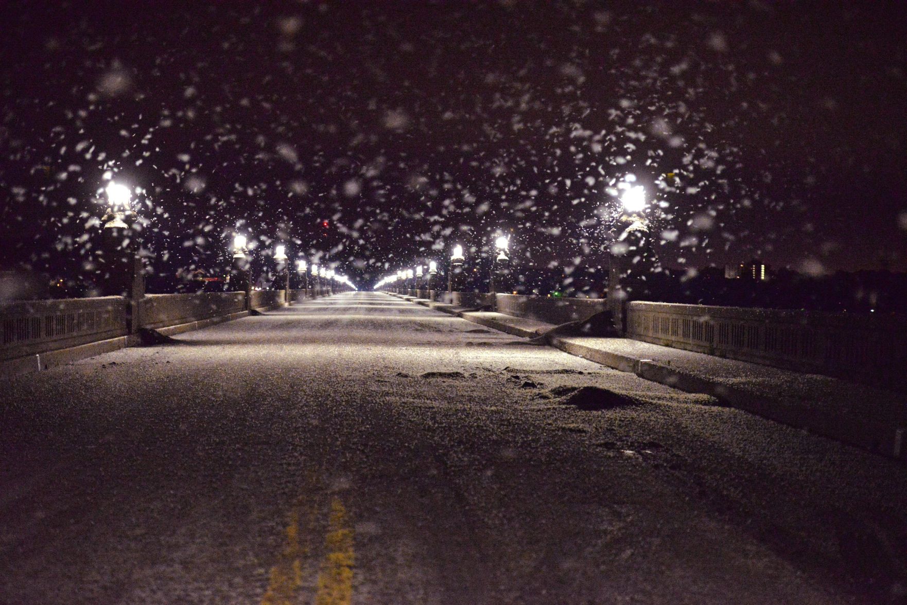 Columbia Mayflies